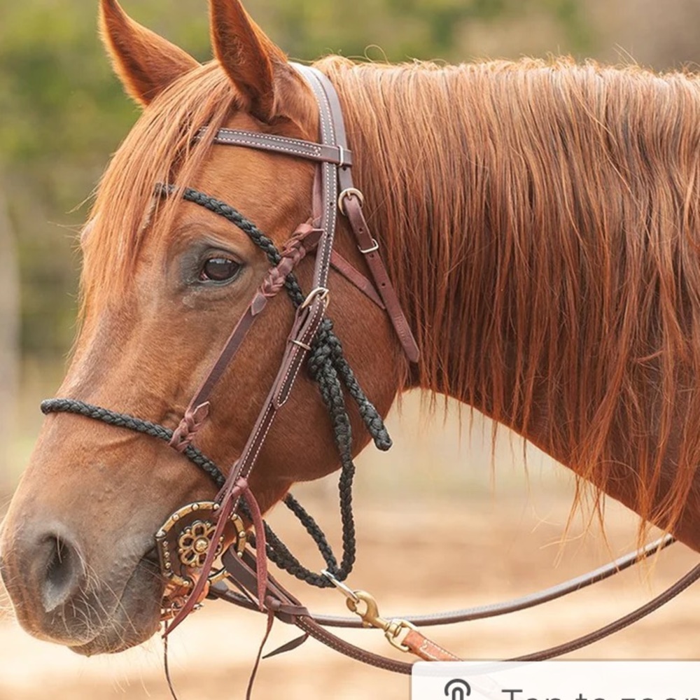 Martin mule tape bonnet